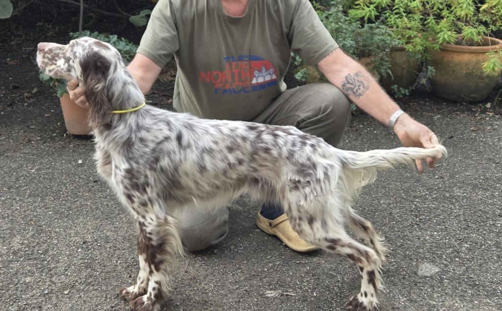 Ulman Du Trefle Bleu